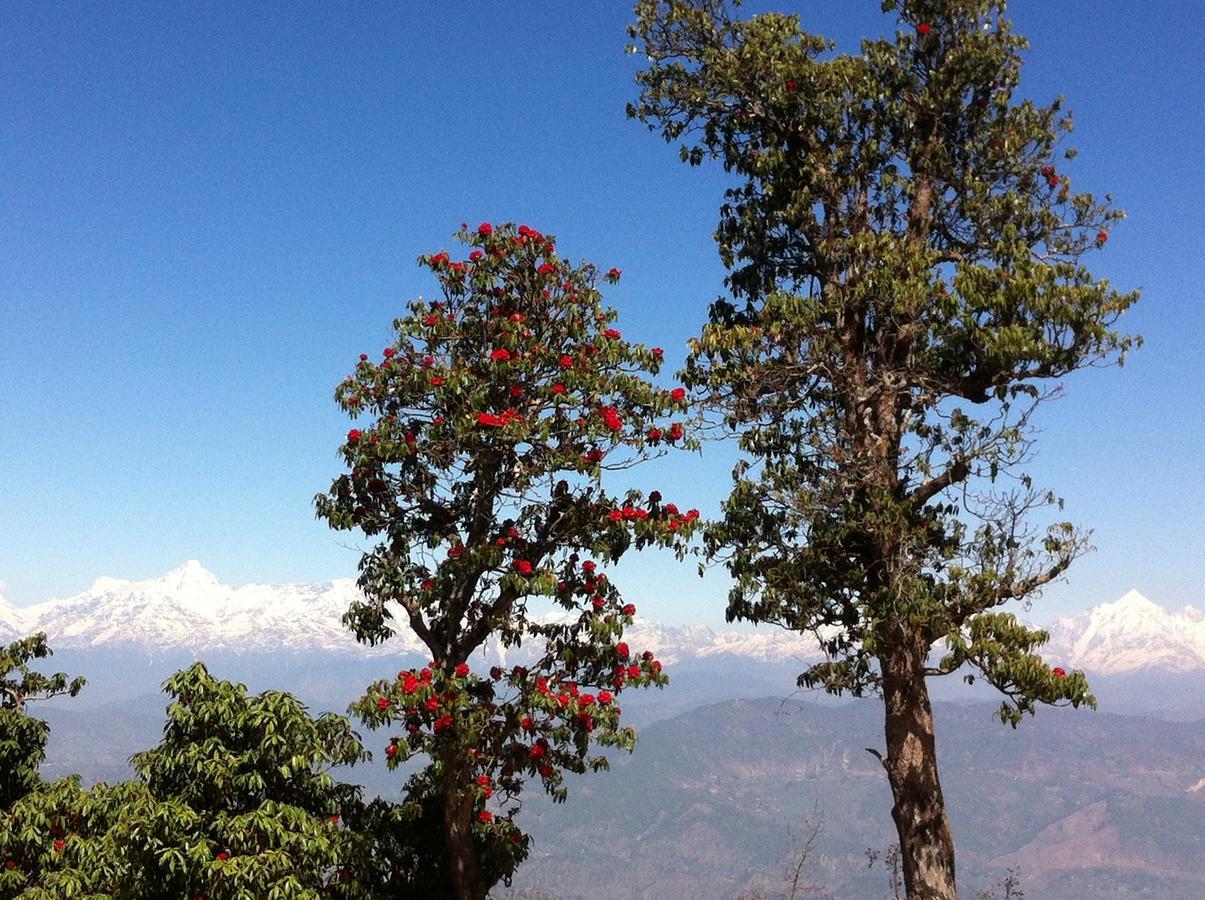 Vila Thikalna Himalayan Retreat Almora Exteriér fotografie
